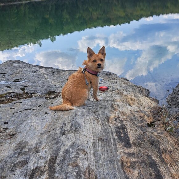 Meet your Posher, Debbie - Picture 2 of 2